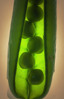 a peas in a pod.jpg