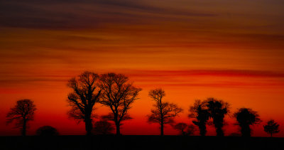 aaa sunset.jpg