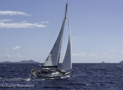 g12/53/578453/3/168844966.oveYLgWW.jpg