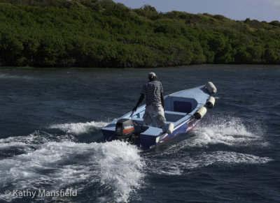 g12/53/578453/3/168847664.60NswXu8.jpg