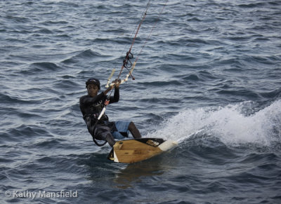 g12/53/578453/3/168853647.CHwhkIbA.jpg