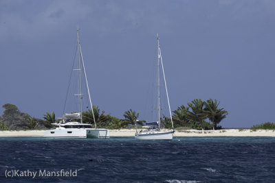 g12/53/578453/3/168865435.s8EYZwv1.jpg