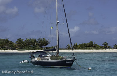 g12/53/578453/3/168865439.wXOn1SCT.jpg