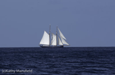 g12/53/578453/3/168865518.AyjycgQf.jpg
