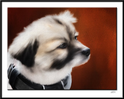 Dog_Painting.jpg