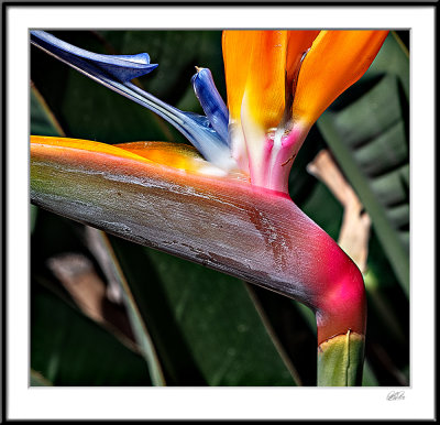 Texture_and_Colors.jpg