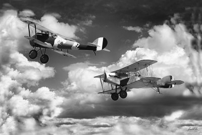 Bristol F2B and Nieuport 28_B&W.jpg