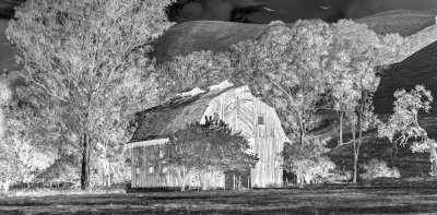 Infrared Barn.jpg