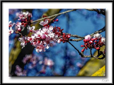 Spring is Almost Here.jpg