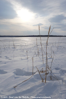 Lake Furen in winter