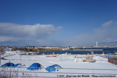 Japanese harbour in winter