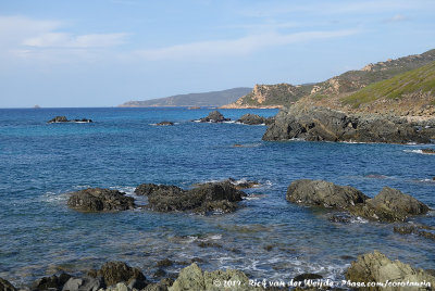 Rocky coastline of Corsica
