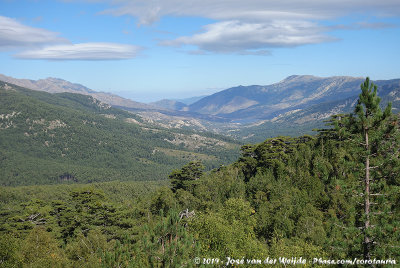 View from Col de Vergio