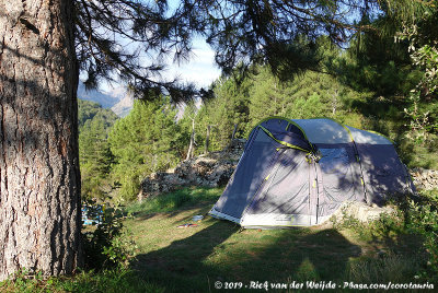 Camping at lAcciola