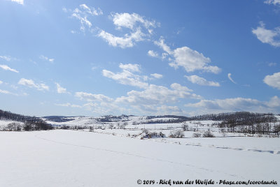 Hokkaido in Winter
