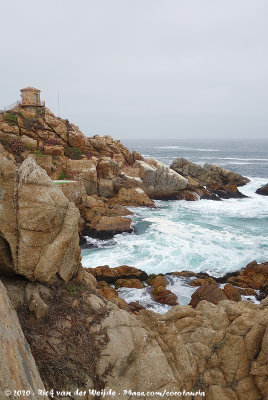 Rocky coastline of Concón