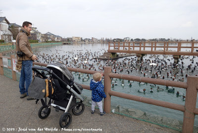 Rick, Rens ans some Ducks