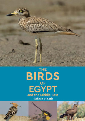 The Birds of Egypte and the Middle East