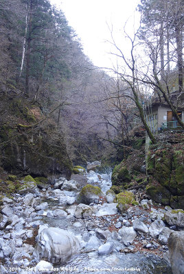 Just a mountain stream