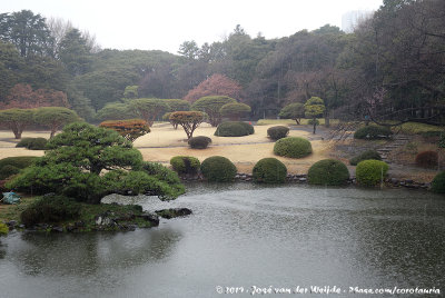 Shinjuku Gyoen Gardens