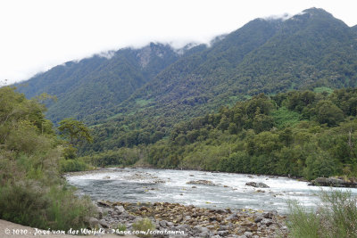 Rio Petrohué