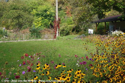 Ecolodge Farm Lator