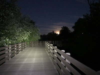 Night Ride - Moon Rise