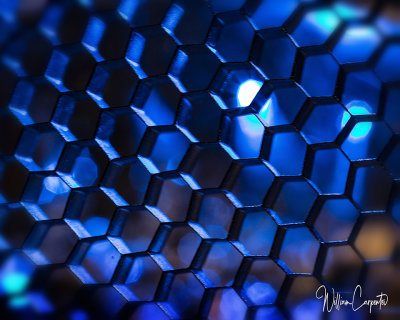 Honeycomb Grid for a Studio Strobe