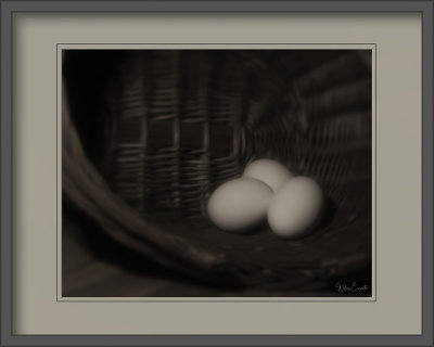 A09I4919_BW_3.jpg