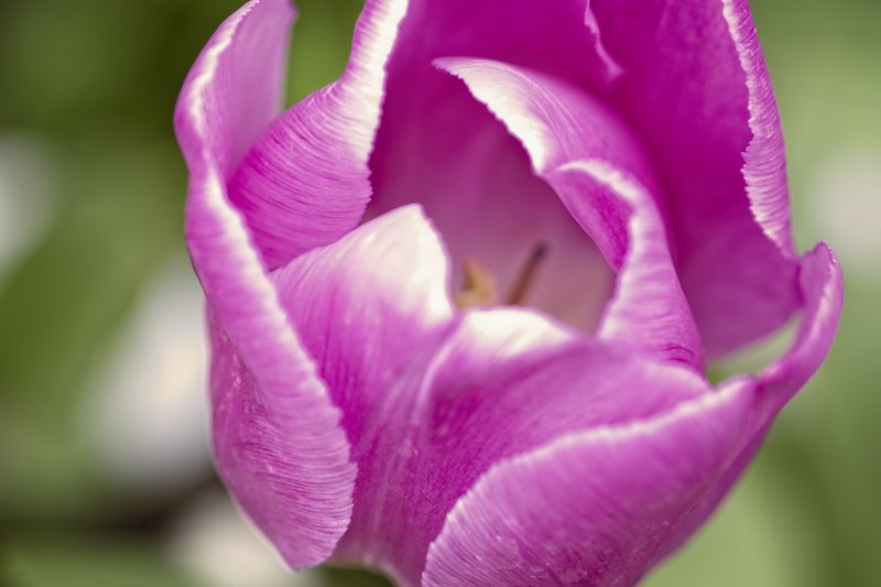 DSCF2340.jpg