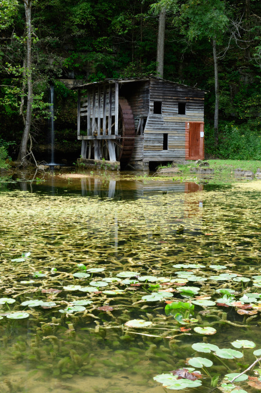 Falling Spring Mill 2 - Van Buren, MO