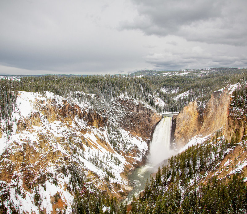 Lower Yellowstone Falls 