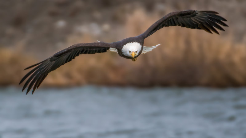 Incoming!