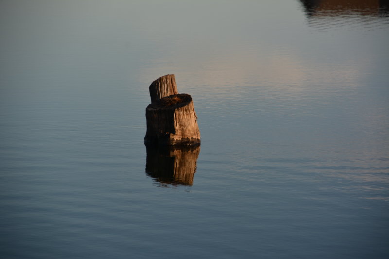 DSC_2733.JPG