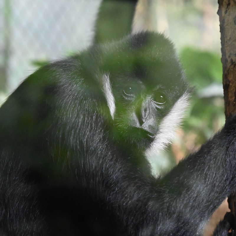 DSC_0750.jpg