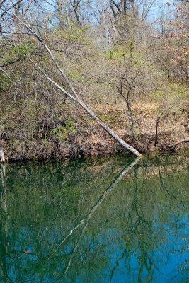 Tree-reflection-from-boat.jpg