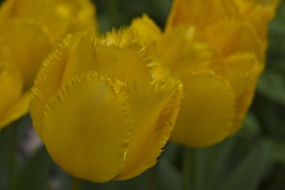 DSCF2268.jpg