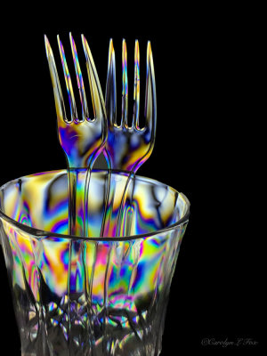 PhotoElasticity With Forks