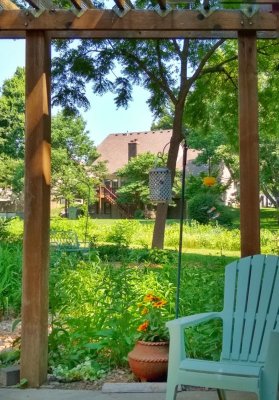 Framed View of Summer Garden