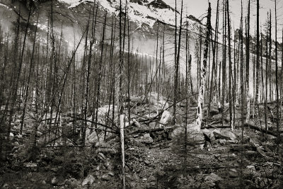 After the Fire