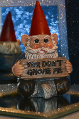 You Dont Gnome Me