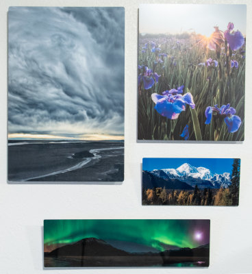 #7 Favorite Metal Prints $35.00-$80.00