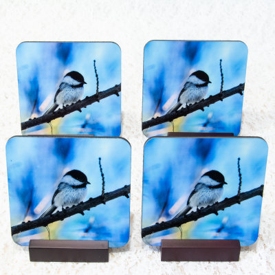 Chickadee