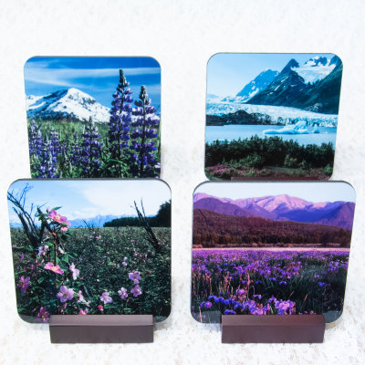 Landscapes with Flowers