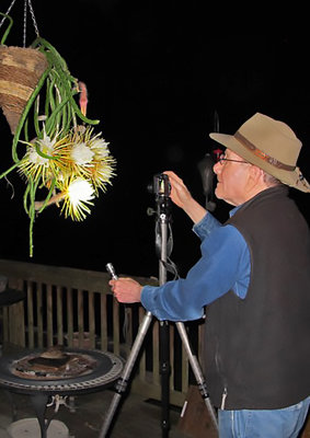 W photographing Queen-of-the-Night