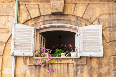 Window in the same plaza