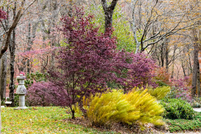 Splash of Color