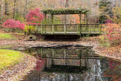 Bridge Reflection