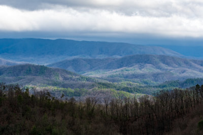 Wears Valley from the parkway