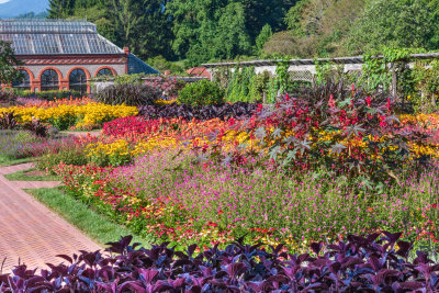 Shots from the walled flower garden, Tuesday